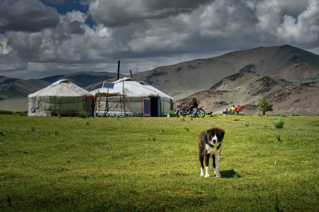 Mongolian nomads